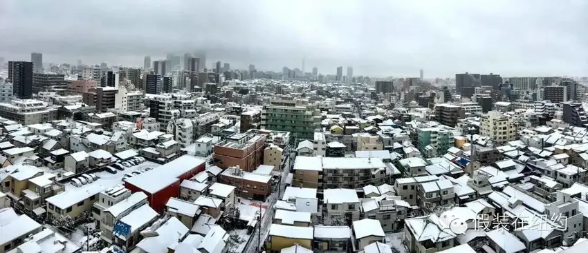 听说今天东京下了第一场雪，这张照片把我吓到了