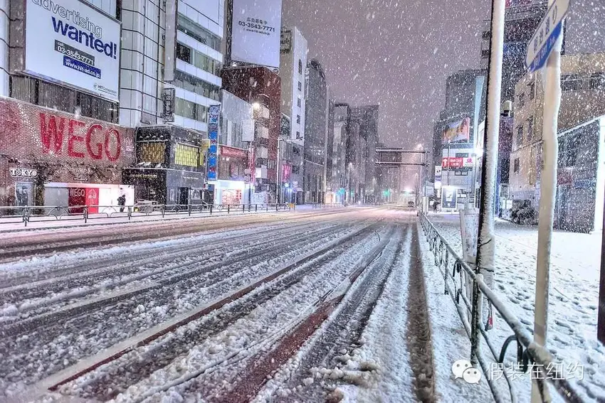 听说今天东京下了第一场雪，这张照片把我吓到了