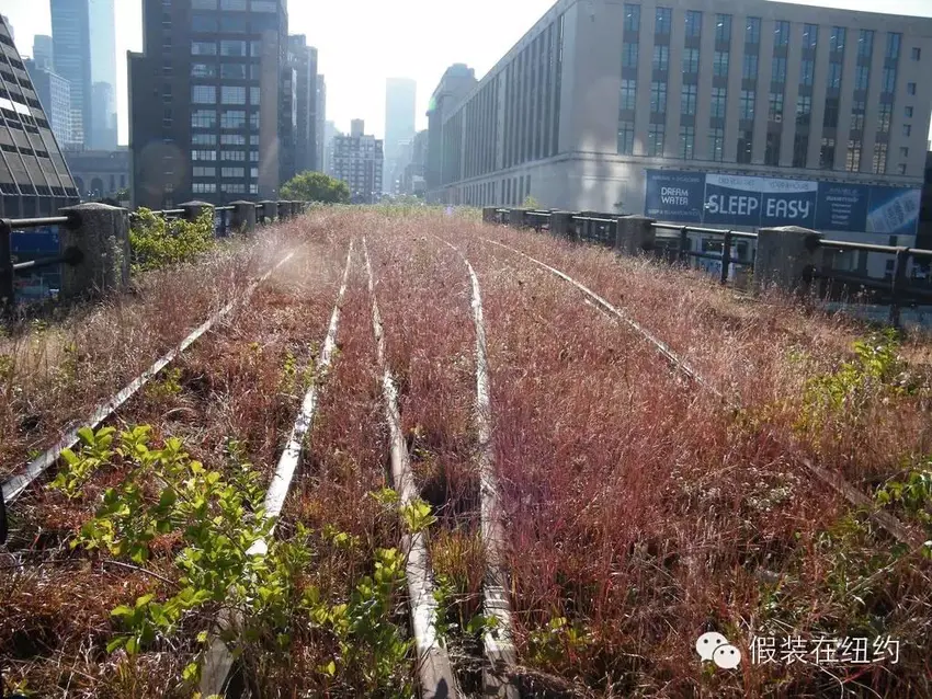 一段废弃的铁路造就的传奇