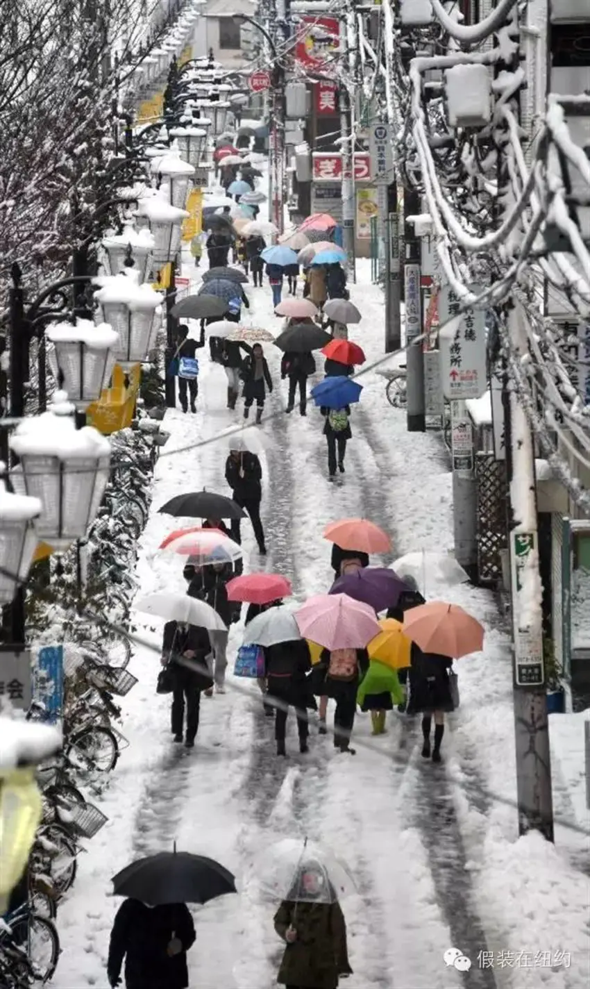 听说今天东京下了第一场雪，这张照片把我吓到了